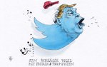 Robitzkys Welt 49 Mit Pauken & Trumpeten-2017 (Donald Trump)